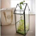 Terrarium géométrique en verre pour plantes à air Made House